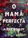 O mama perfectă - Paperback brosat - Aimee Molloy - Litera