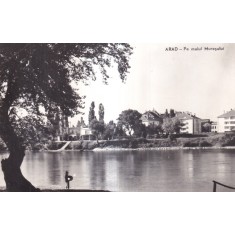 Arad - Pe malul Muresului (necirculata)