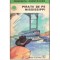 Friederich Gerstacker - Piratii de pe Mississippi - 117832