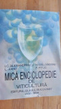 Mica enciclopedie de viticultura- I. C. Alexandrescu, L. Jianu