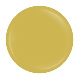 Cumpara ieftin Gel Pictura Unghii SensoPRO Milano Expert Line, Dusty Yellow 5ml