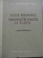 Bazele Biochimice Ale Procesului De Evolutie La Plante - A.v. Blagovescenschi ,525165 foto