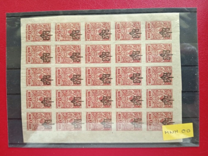 1918 - UCRAINA - Russian Postage Stamps of 1915-1917 Overprinted - BLOCK MNH