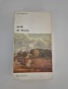 E.H. Gombrich: Arta si iluzie - Istoria Artei, 534 pagini