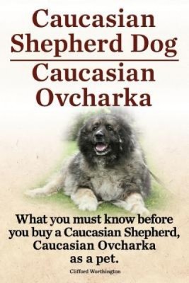 Caucasian Shepherd Dog. Caucasian Ovcharka. What You Must Know Before You Buy a Caucasian Shepherd Dog, Caucasian Ovcharka as a Pet. foto