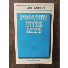 Paul Anghel - Popasuri intre arme