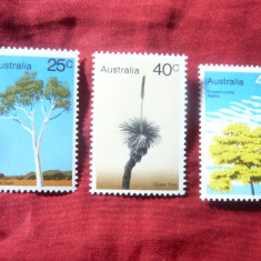 Serie mica Australia 1978 - Flora - copaci , 3 valori