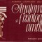 Anatomia si fiziologia omului Indrumator pentru elevi - R.carmaciu C.th. Niculescu Leila Torsan
