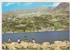 Bnk cp Lacul Bucura - Vedere - necirculata - marca fixa, Printata, Hunedoara