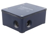 &Icirc;ntrerupător de Siguranță cu Blocare AZ 415-11/11ZPK