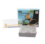 Set educativ paleontologie descopera fosile dinozaur Pterosaur, Oem