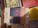 Nuvele vol. 1 vintage