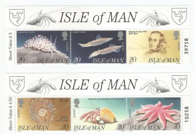 |Man, Europa CEPT, 1994, MNH foto