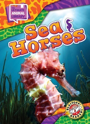 Sea Horses foto
