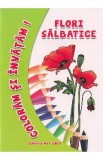 Flori salbatice - Coloram si invatam!
