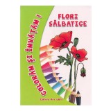 Flori salbatice - Coloram si invatam!