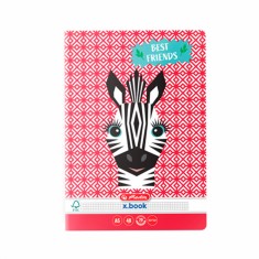 Caiet A5 48 File, Matematica HERLITZ