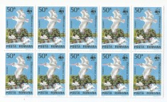 Rom&acirc;nia, LP 1116/1984, Faună ocrotită din rezervaţiile rom&acirc;neşti, blocuri de 10 timbre, eroare, MNH