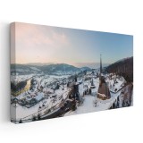 Tablou vedere aeriana Manastirea Barsana 2092 Tablou canvas pe panza CU RAMA 60x120 cm