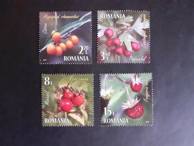 2017 - Romania - Fructe de Padure foto