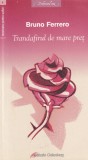 Bruno Ferrero - Trandafirul de mare pret