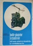 Bolile plantelor legumicole din sere solarii si rasadnite si combaterea lor C. Rafaila/ Cristina Raicu
