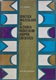 Cumpara ieftin Genetica moleculara si actiunea radiatiilor asupra ereditatii - 1966 - N. P. Dubinin (@A223)