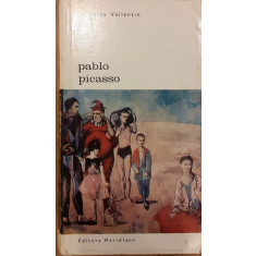 Pablo Picasso Biblioteca de arta 11