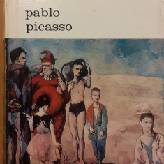 Pablo Picasso Biblioteca de arta 11