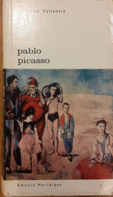 Pablo Picasso Biblioteca de arta 11 foto