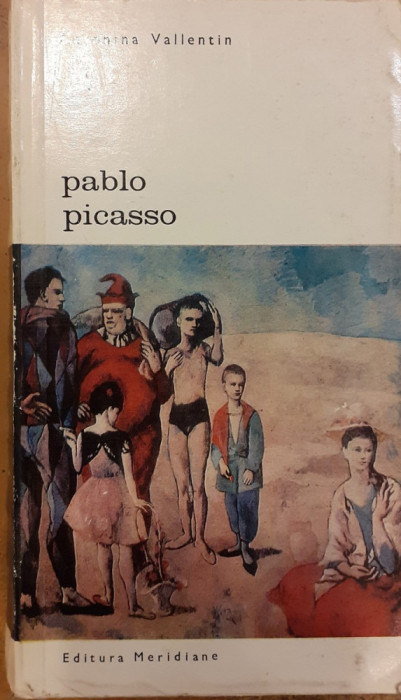 Pablo Picasso Biblioteca de arta 11