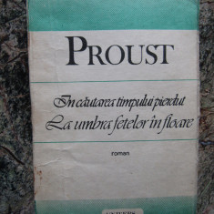 IN CAUTAREA TIMPULUI PIERDUT. LA UMBRA FETELOR IN FLOARE-MARCEL PROUST