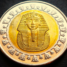 Moneda exotica bimetal 1 POUND - EGIPT, anul 2008 *cod 27 B = A.UNC