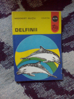 e1 Delfinii - Modest Gutu foto