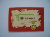 Diploma Consiliul National pentru Educatie Fizica si Sport, 1988