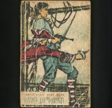 RĂPIT DE PIRAȚI - ROBERT LOUIS STEVENSON