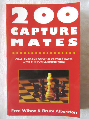 &amp;quot;200 CAPTURE MATES&amp;quot;, Fred Wilson / Bruce Alberston, 2007. Sah foto