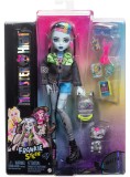 Monster High Core Doll With Pet Frankie (hxh73)