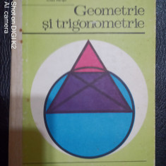Geometrie si trigonometrie manual pentru anul I liceu-Laura Constantinescu