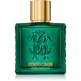 Roberto Cavalli Uomo Verde Assoluto Eau de Parfum pentru bărbați 100 ml