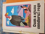Cum a ajuns condorul rege vintage