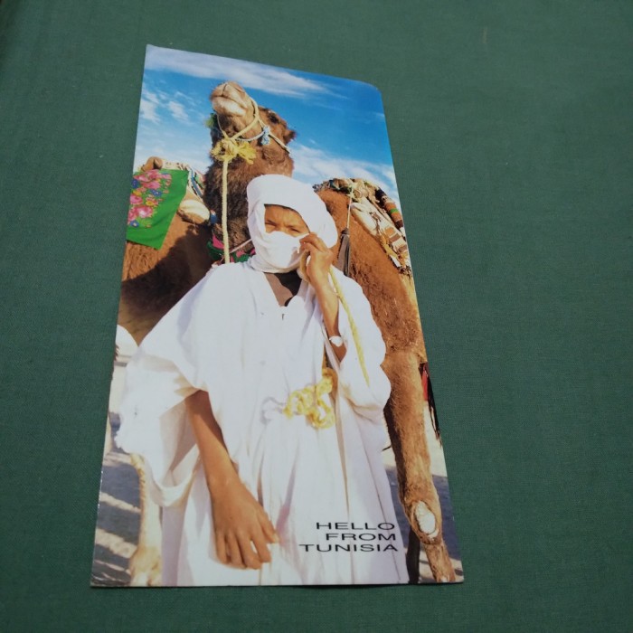 CARTE POSTALA GIGANT TUNISIA CIRCULATA