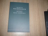 Martin Heidegger - Despre miza gandirii