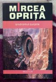 Sindromul Quijote - Mircea Oprita