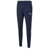 Pantaloni Puma TeamRISE Poly Pant 657390-06 albastru marin, M