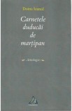 Carnetele duducai de martipan - Doina Ioanid