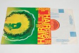 Hair - disc vinil vinyl LP