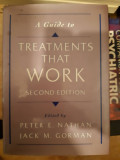 A Guide To Treatments that Work 2nd Edition -Peter Nathan , Jack M. Gorman