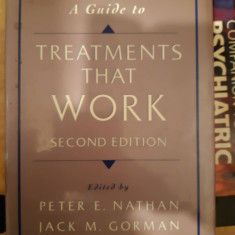 A Guide To Treatments that Work 2nd Edition -Peter Nathan , Jack M. Gorman