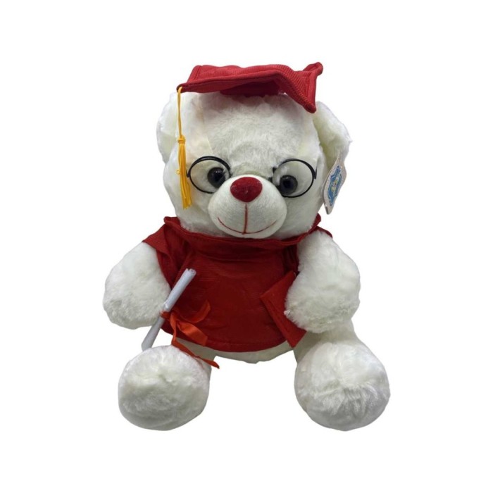 Urs alb de plus absolvent 30 cm